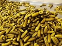 Огурцы в бочках